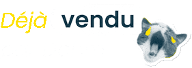 Immobilier Vendu Sticker by Dohm