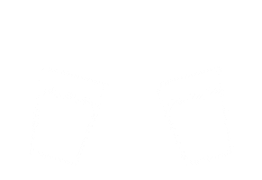 Beer Cheers Sticker by Vista Breja