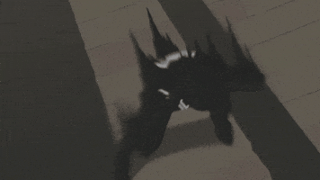 Spider-Man GIF