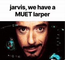 Jarvis Commanding GIF
