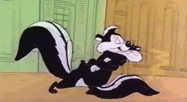 Skunk GIFs - Find & Share on GIPHY