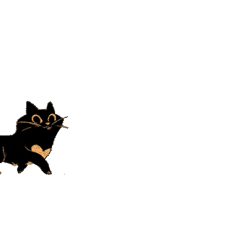 Cat Nin Sticker by FVO Alimentos