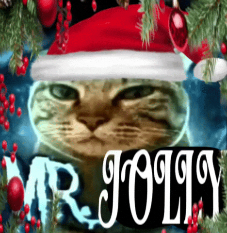 Merry Christmas Cat GIF