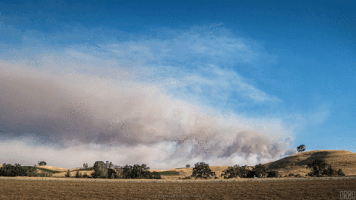 california wildfire GIF