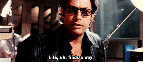 Jurassic Park Life GIF - Find & Share on GIPHY