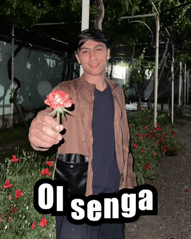 Gul GIF