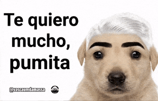 Memesdagama GIF