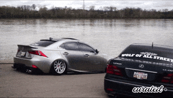200.gif?cid=fc005b08512f1e0d6489c230ce2896725dadc0ca91d4d51e&rid=200.gif&ct=g