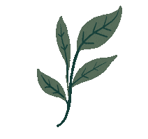 Maypop Sticker