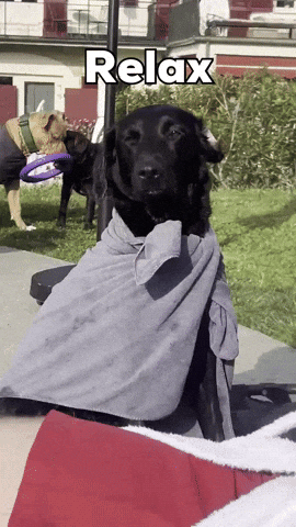Relax GIF