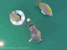 Summer Vacation Swimming GIF