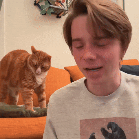 Black And White Yawn GIF