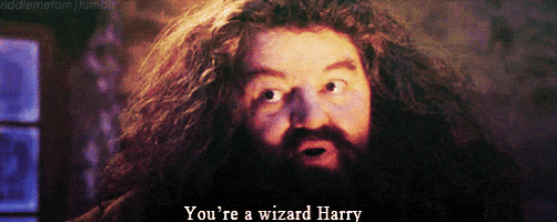 Image result for ur a wizard harry