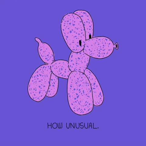 Dog Wtf GIF