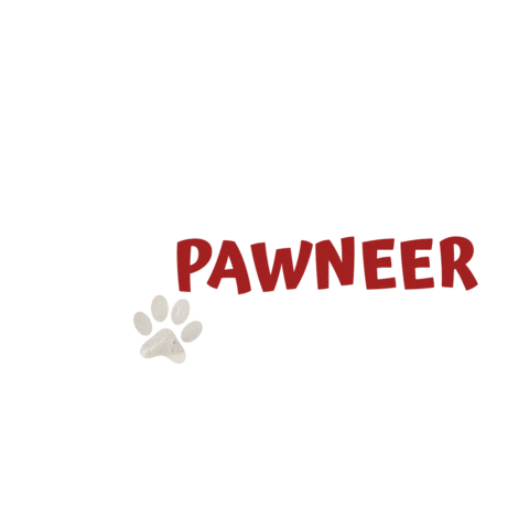 Haldiram's Nagpur Sticker