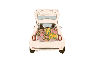 Car Romance Sticker