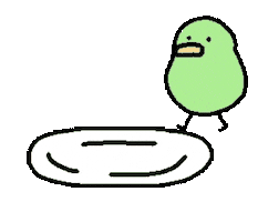 Fruit Kiwi Sticker