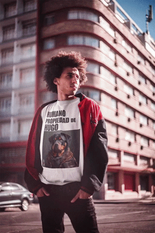 DOGMENATION | PERROS vistiendo Humanos GIF