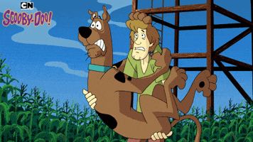 Scared Scooby Doo GIF by Cartoon Network