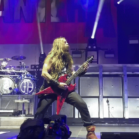 Pantera GIF