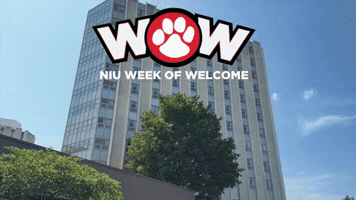 Move In Back To School GIF by Northern Illinois University