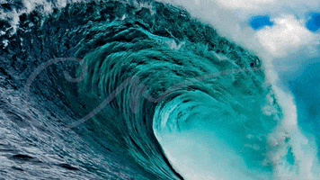WACUHO GIF