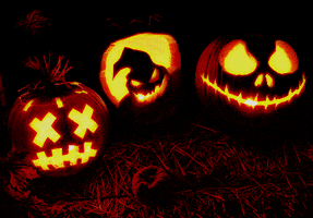 jack o lantern pumpkin GIF