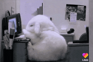 Bunny Love GIF by Likee US