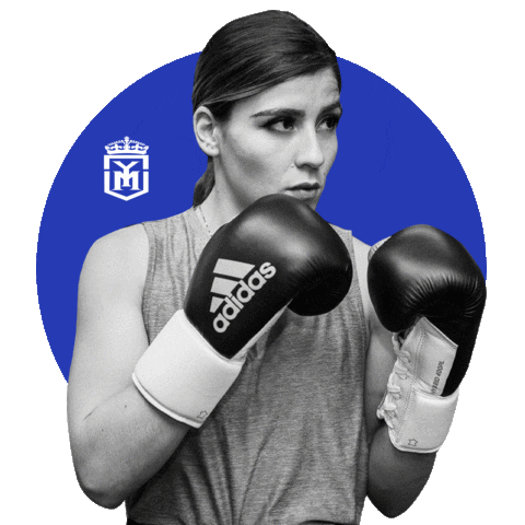 Vmboxing Sticker by Viernes Media