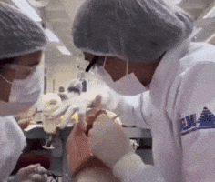 Doctor Teeth GIF