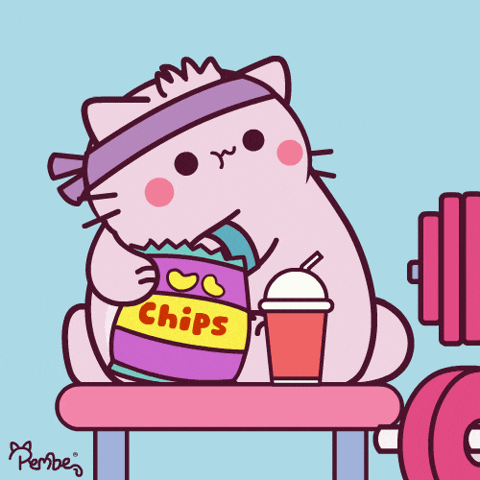 Cute Cat Gym Time GIF by Pembe