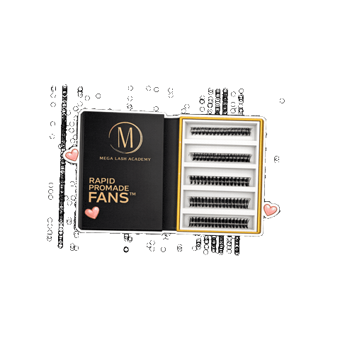 Lashes Eyelash Sticker by Mega Lash Academy