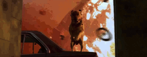 air bud