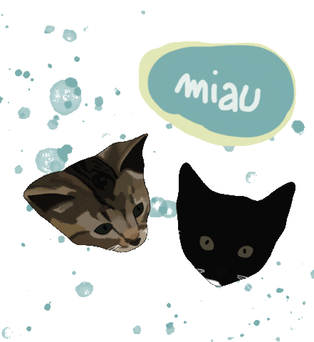 Cats Kittens Sticker by Monika Kreft