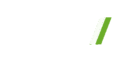 Nascar Racing Sticker by EchoPark Speedway