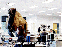 geico camel gifs get the best gif on giphy 200_s geico camel gifs get the best gif on giphy