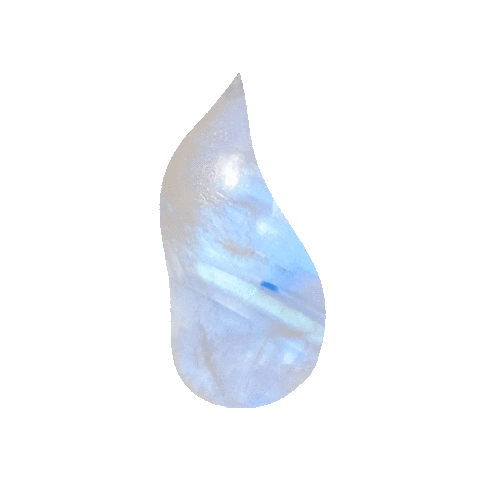 Animated Sticker
