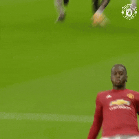 giphy.gif