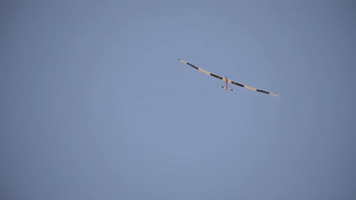 benryon1  GIF