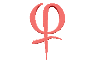 Danijela Jankovic Arizanov Sticker by Phibrows Academy