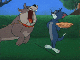 tom spike pie warner bros tom and jerry