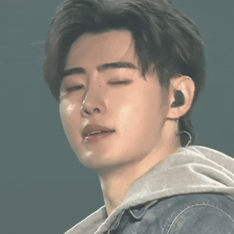 Penguin Sunghoon GIF