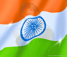 Dashing Team India GIF
