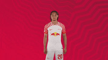 Lets Go Yes GIF by RB Leipzig
