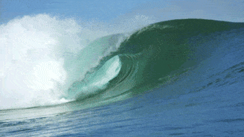 Monster From The Ocean Floor Gifs Find Share On Giphy