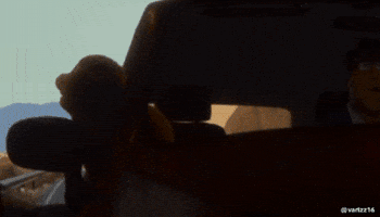 Shark Scene GIF