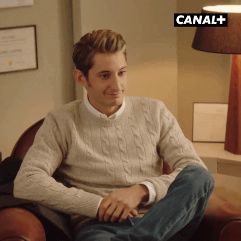 Humour Lol GIF by CANAL+