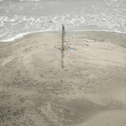 World In A Grain Of Sand GIF