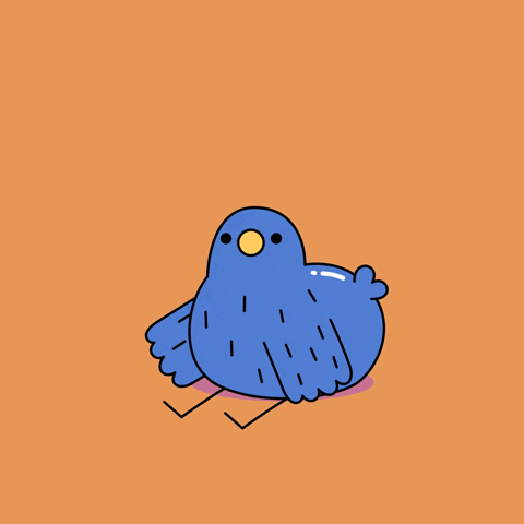 Blue Bird Hello GIF