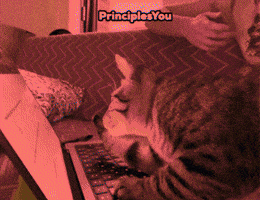 GIF by Patrick B Ray